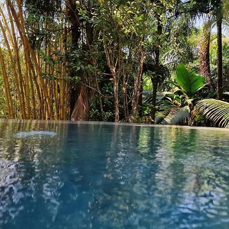 A Peace In Paradise Anse Royale Exterior foto