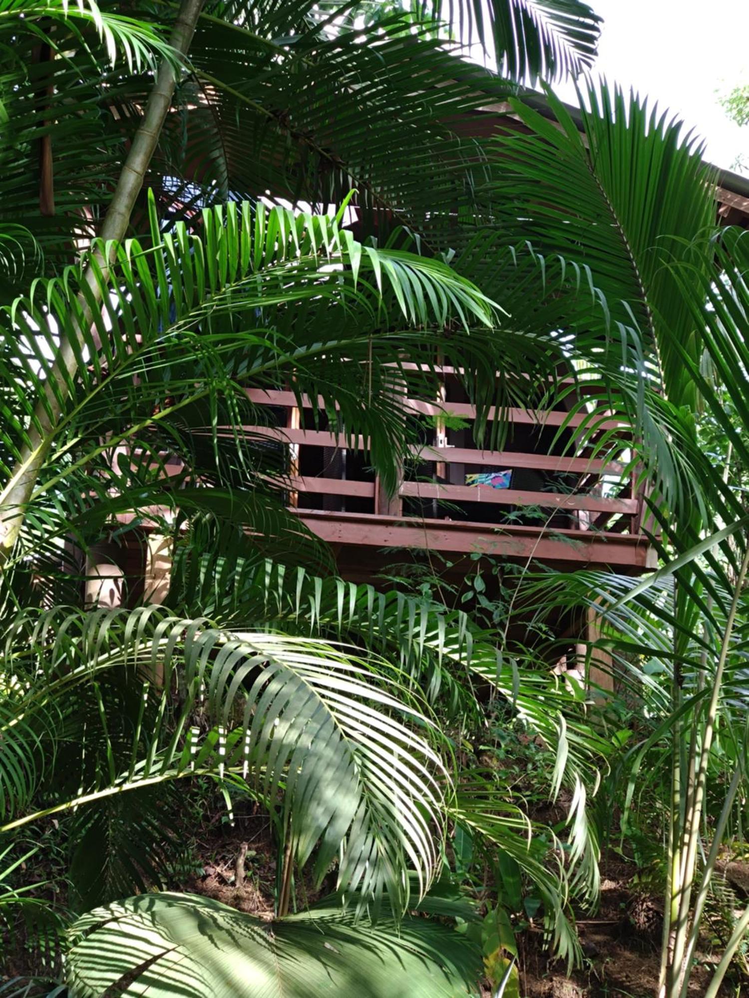 A Peace In Paradise Anse Royale Exterior foto