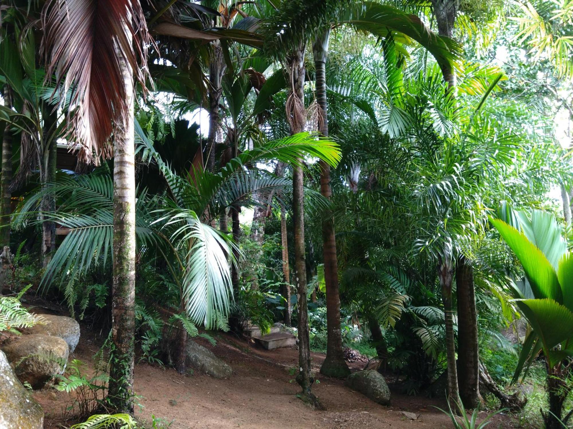 A Peace In Paradise Anse Royale Exterior foto