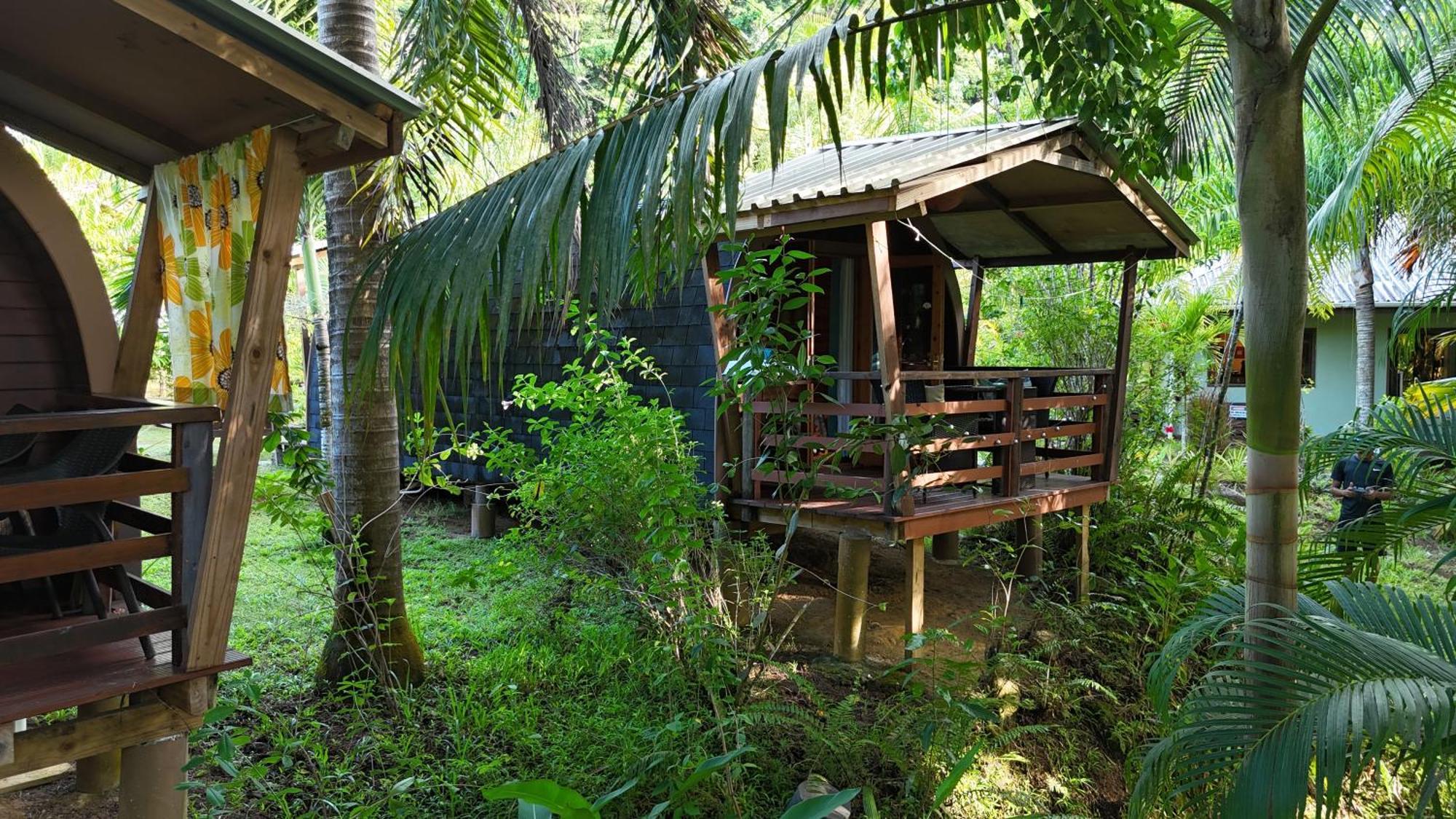 A Peace In Paradise Anse Royale Exterior foto