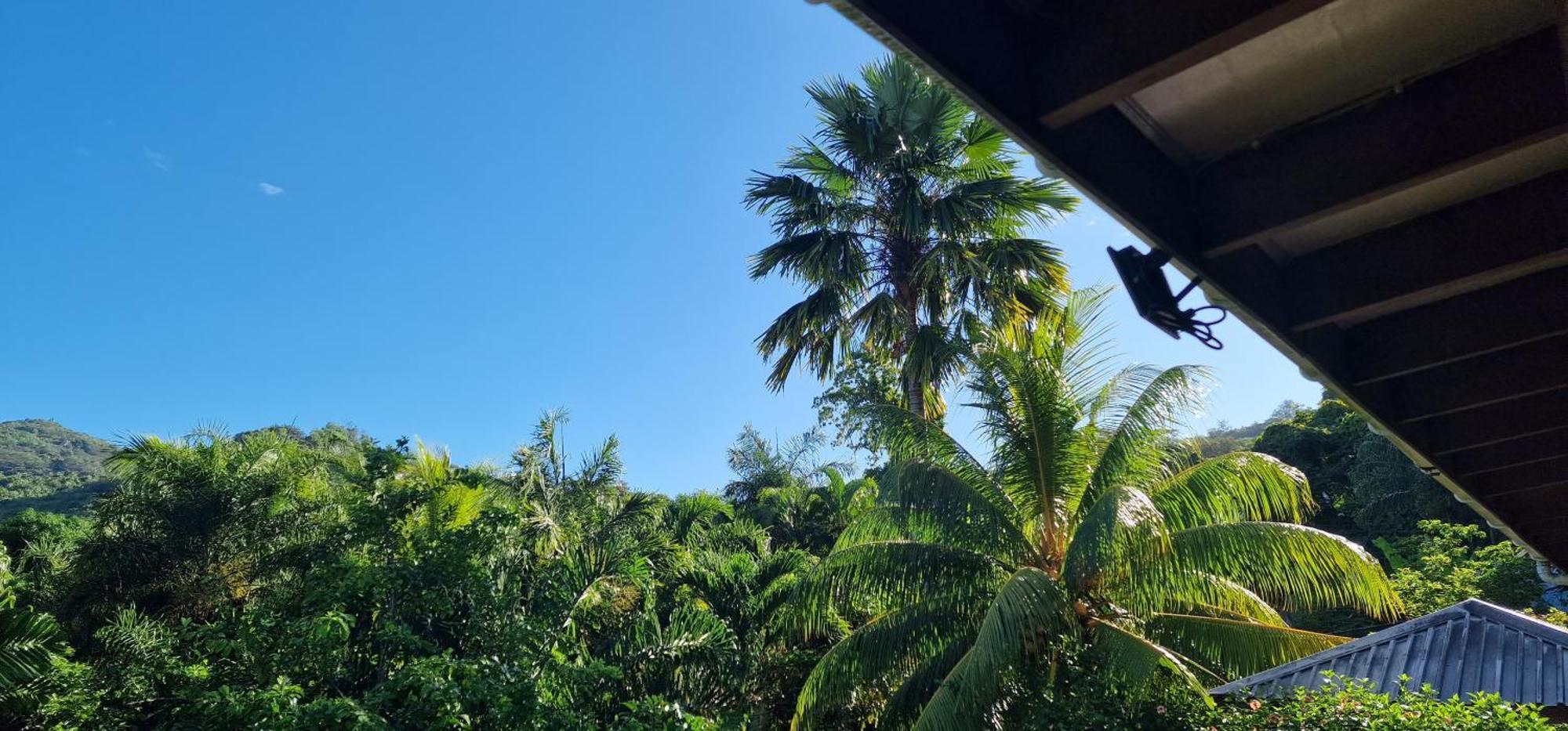 A Peace In Paradise Anse Royale Exterior foto